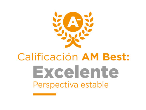 AM BEST (multi langues)_AM Best – ES