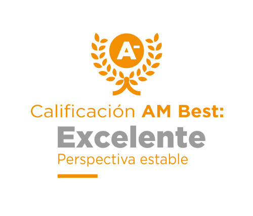 AM BEST (multi langues)_AM Best – ES