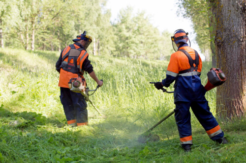 Two landscapers men workers with gas handheld string trimmers mowing grass