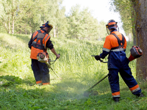 Two landscapers men workers with gas handheld string trimmers mowing grass