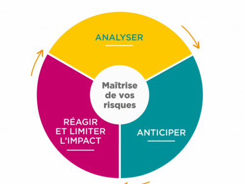 roue_risk management_Relyens_grey_small_fra