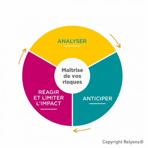 roue_risk management_Relyens_grey_small_fra