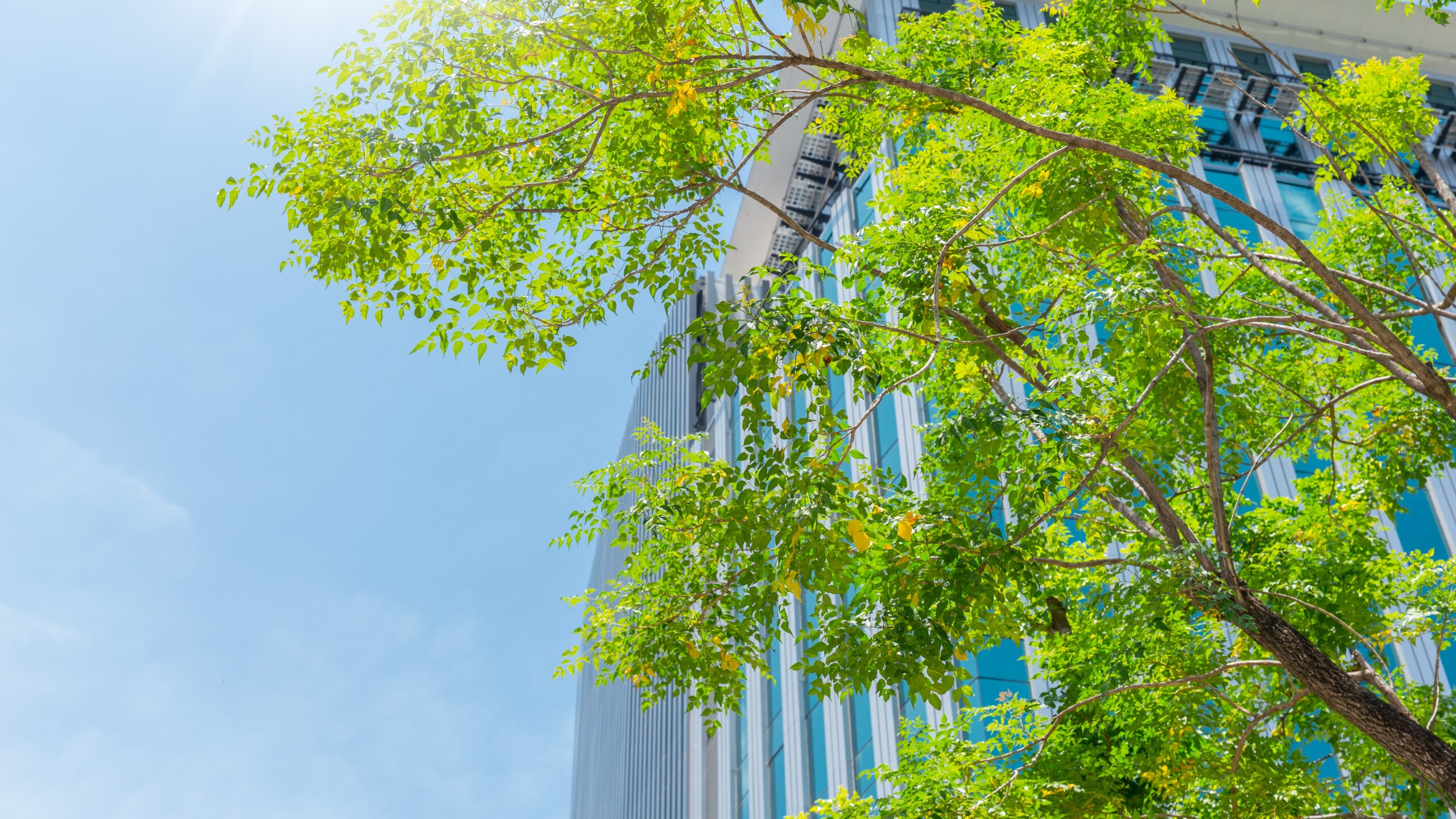 green city eco office building good environment green tree blue