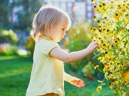 Adorable toddler girl having fun in park