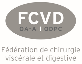 Logo FCVD