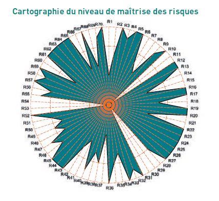 Cartographie du niveau de maîtrise des risques