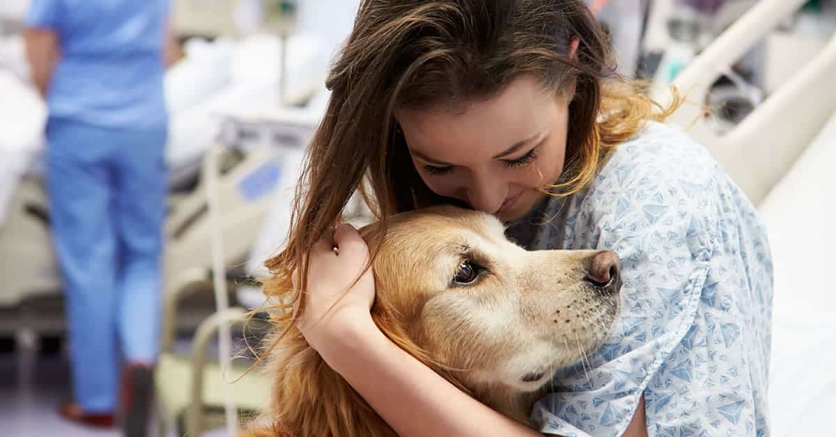 Interventi assistiti con animali in terapia intensiva