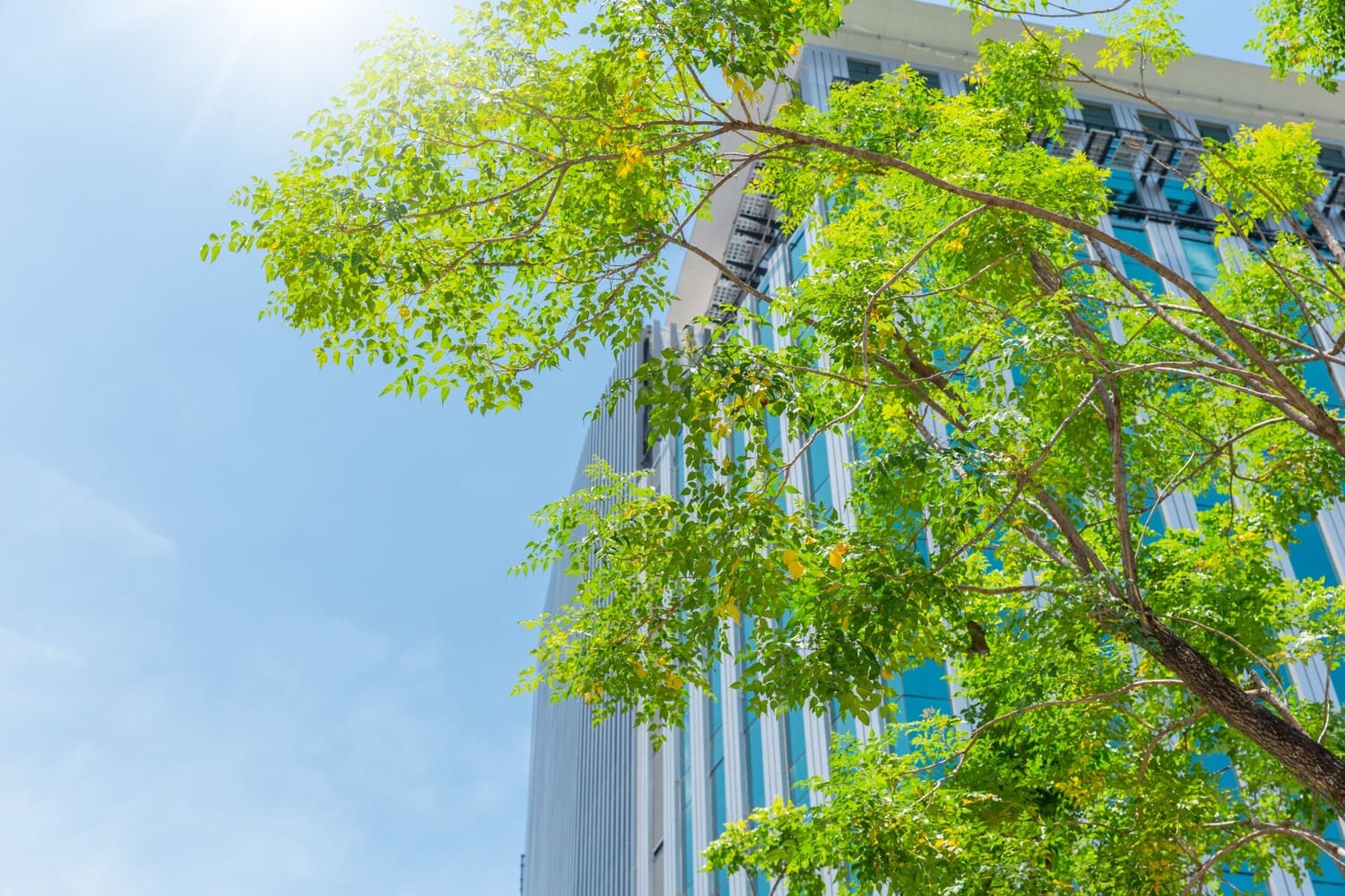 Nuovo modello ospedaliero