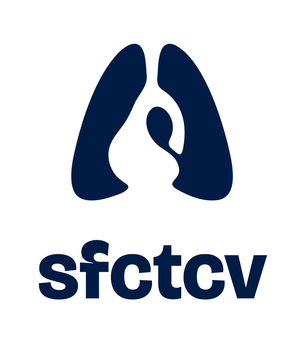 logo sfctcv