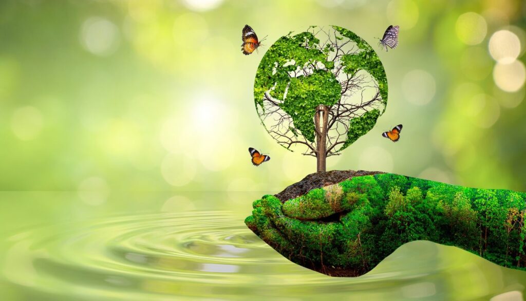 Critère environnemental et marché public